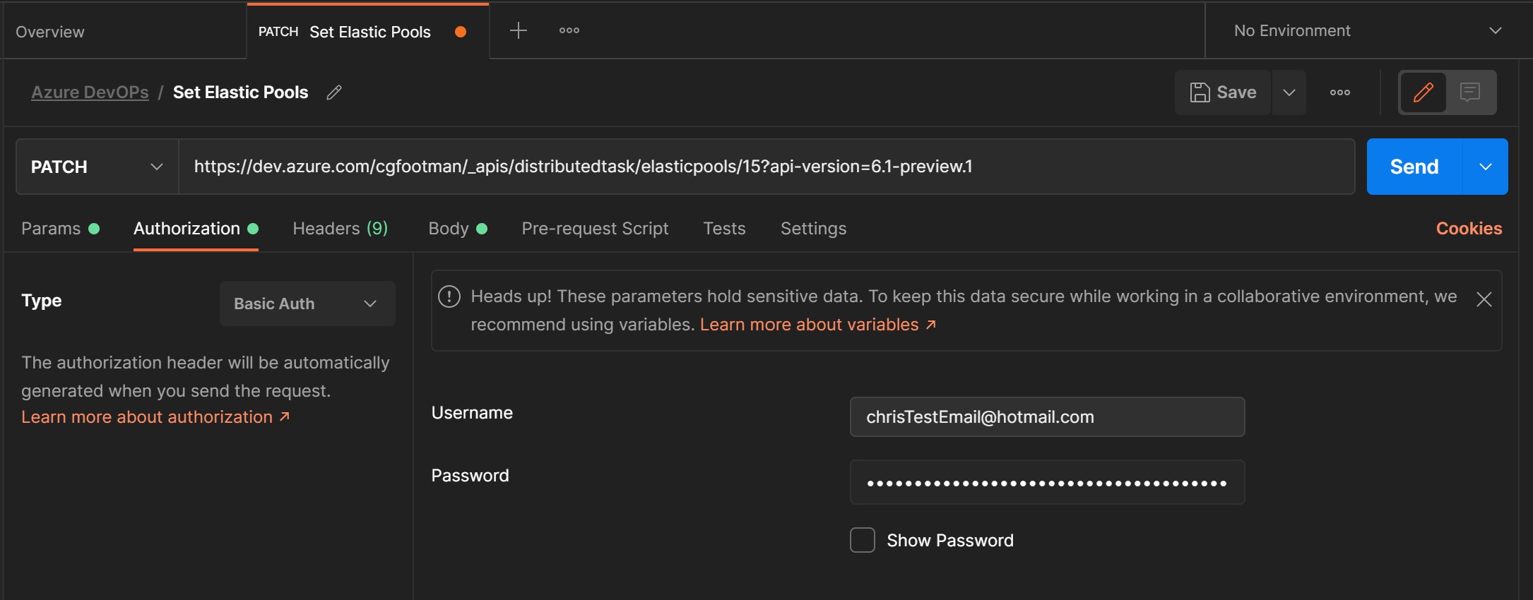 Postman Autorization screen